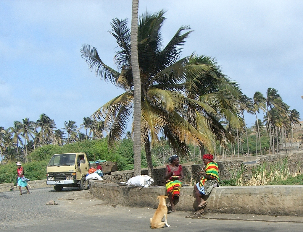 Copy of CIMG0014.JPG